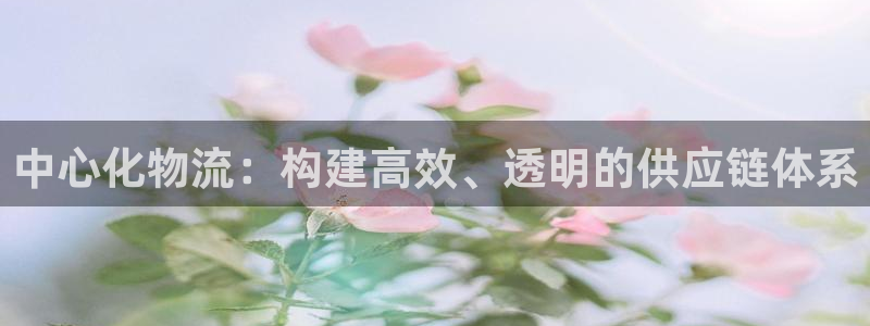 ,优游国际娱乐官网网页入口：中心化物流：构建高效、透明的供应