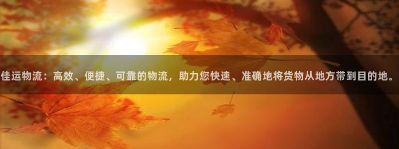 ,优游国际反水怎么算：佳运物流：高效