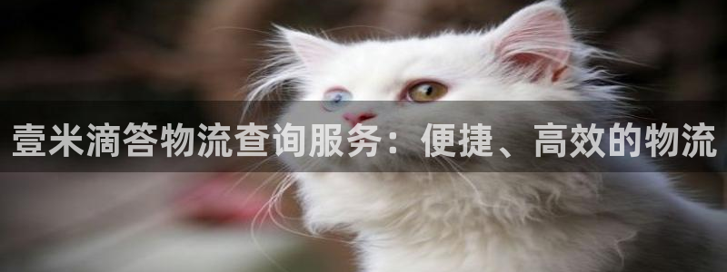 ,优游国际技巧：壹米滴答物流查询服务