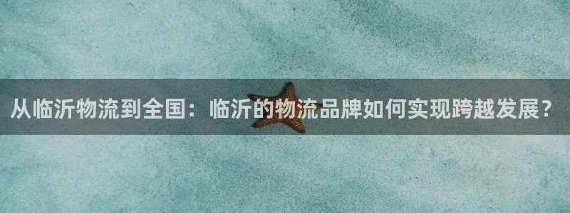 ,优游国际人头费：从临沂物流到全国：临沂的物流品牌如何实现跨