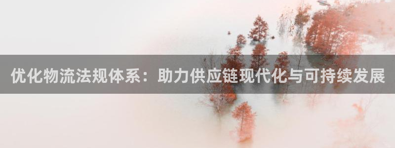 ,优游国际比特28预测在线预测：优化