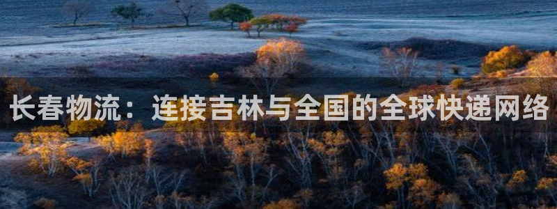 优游国际官网入口2024：长春物流：