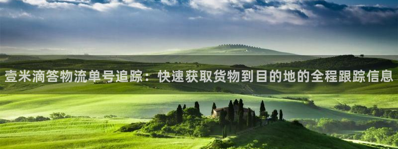 ,优游国际提款一直没到：壹米滴答物流