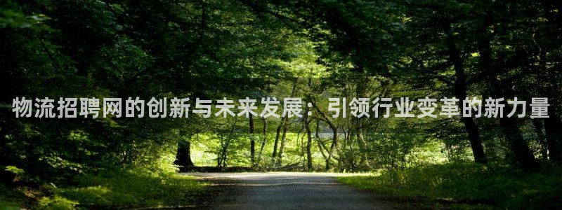 ,优游国际怎么下载不了：物流招聘网的创新与未来发展：引领行业