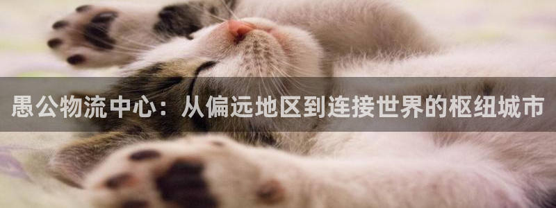 ,优游国际机器人是什么软件：愚公物流中心：从偏远地区到连接世