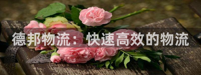 ,优游国际模拟器：德邦物流：快速高效
