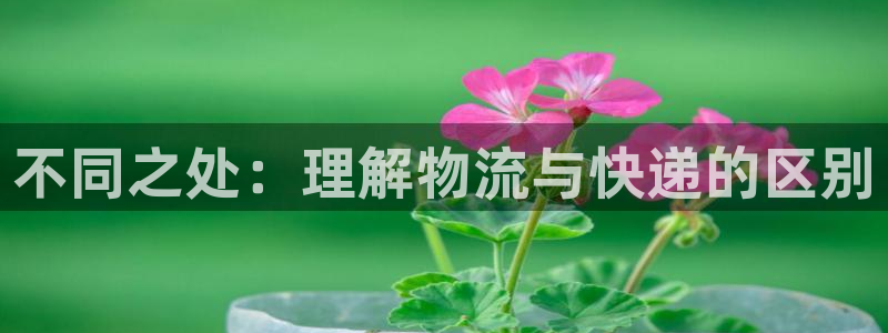 ,优游国际模拟：不同之处：理解物流与快递的区别