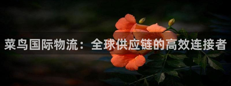 ,优游国际下载链接是多少