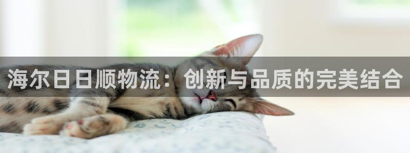 ,优游国际模拟器：海尔日日顺物流：创