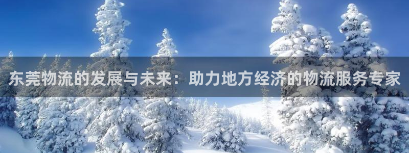 ,优游国际软件：东莞物流的发展与未来