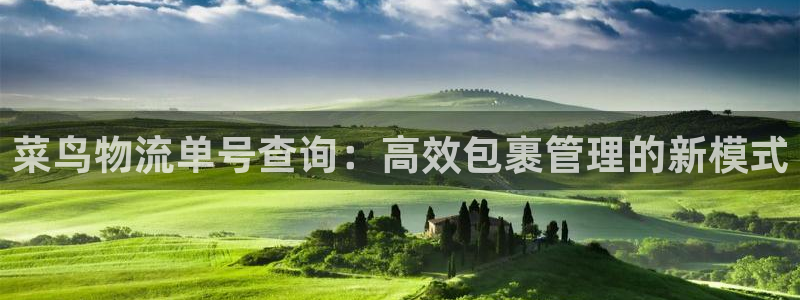 ,优游国际加拿大开奖：菜鸟物流单号查