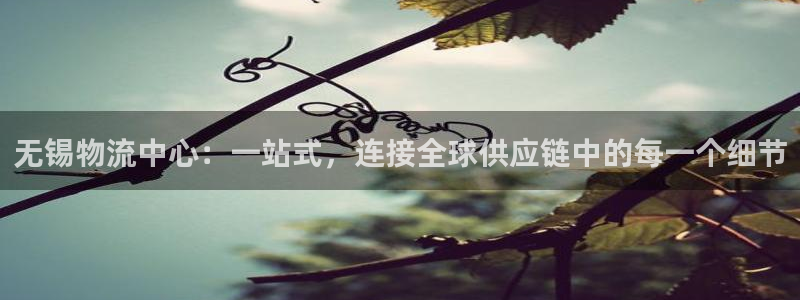 ,优游国际龙虎：无锡物流中心：一站式