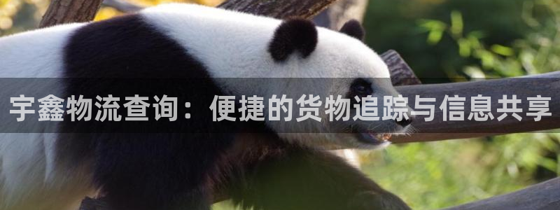,优游国际退款:宇鑫物流查询:便捷的