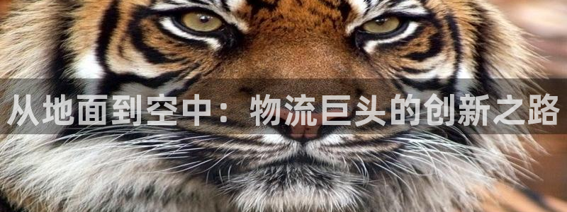 ,优游国际取保：从地面到空中：物流巨