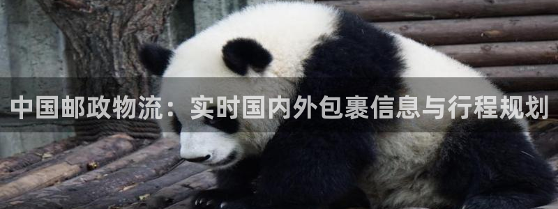 ,优游国际注册条件:中国邮政物流:实