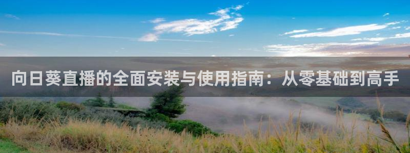 cba直播24直播：向日葵直播的全面安装与使用指南：从零基础到高手