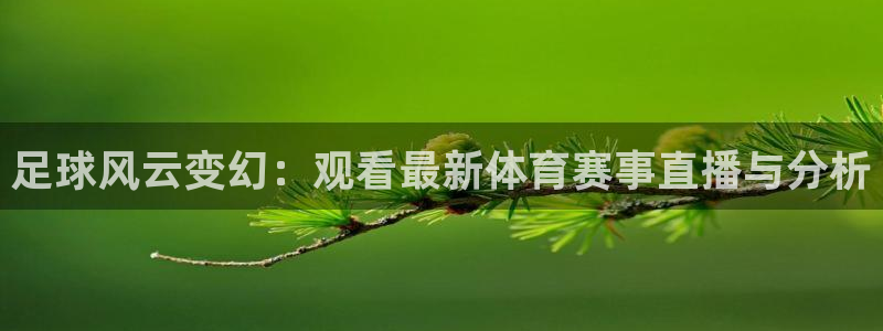 体育直播24直播网：足球风云变幻：观看最新体育赛事直播与分析