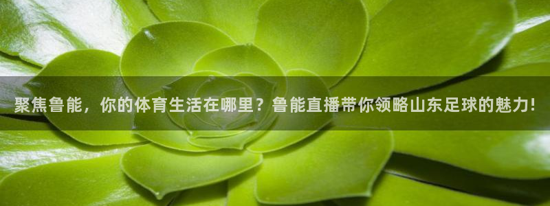 24直播网免费体育直播高清：聚焦鲁能，你的体育生活在哪里？鲁能直播带你领略山东足球的魅力!