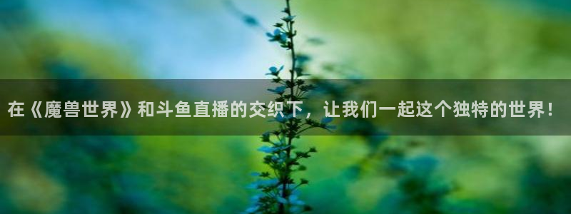 24直播网足球直播：在《魔兽世界》和斗鱼直播的交织下，让我们一起这个独特的世界！