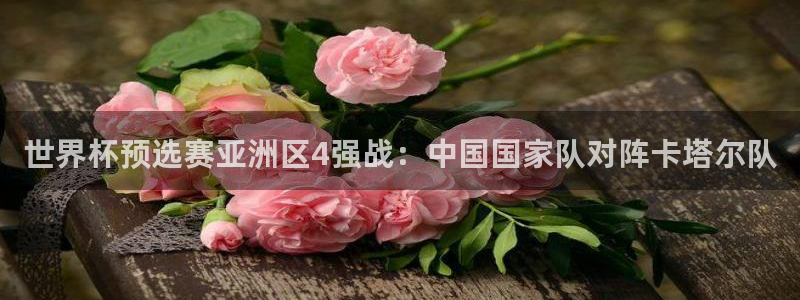 24直播平台：世界杯预选赛亚洲区4强战：中国国家队对阵卡塔尔队