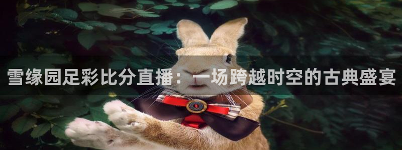 24直播体育免费观看入口：雪缘园足彩比分直播：一场跨越时空的古典盛宴
