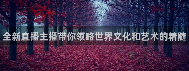 24直播体育免费直播app：全新直播主播带你领略世界文化和艺术的精髓