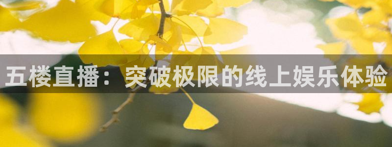 24直播视频：五楼直播：突破极限的线上娱乐体验