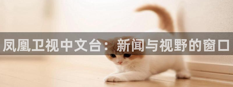 24直播app：凤凰卫视中文台：新闻与视野的窗口