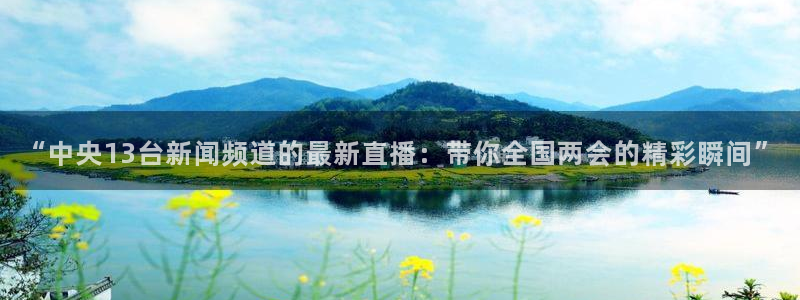 24直播免费篮球球直播：“中央13台新闻频道的最新直播：带你全国两会的精彩瞬间”