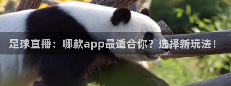 24直播免费足球直播视频：足球直播：哪款app最适合你？选择新玩法！