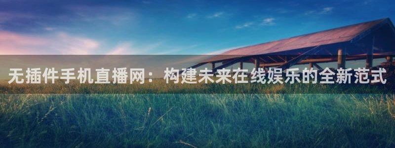 24直播免费篮球直播在线观看：无插件手机直播网：构建未来在线娱乐的全新范式