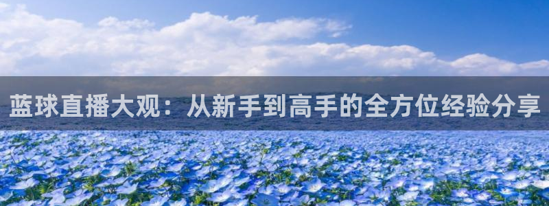 24直播网足球直播：蓝球直播大观：从新手到高手的全方位经验分享