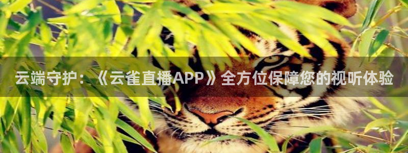 nba直播在线直播24直播：云端守护：《云雀直播APP》全方位保障您的视听体验