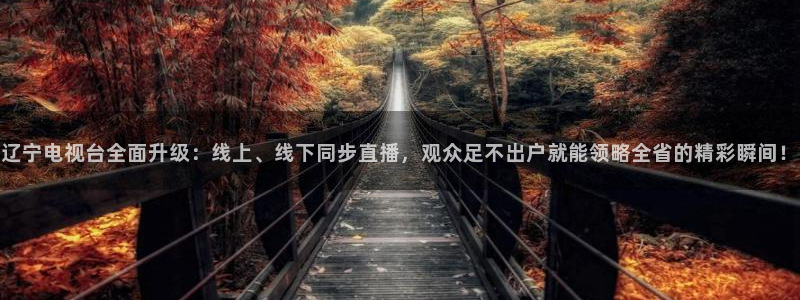 24直播体育网：辽宁电视台全面升级：线上、线下同步直播，观众足不出户就能领略全省的精彩瞬间！